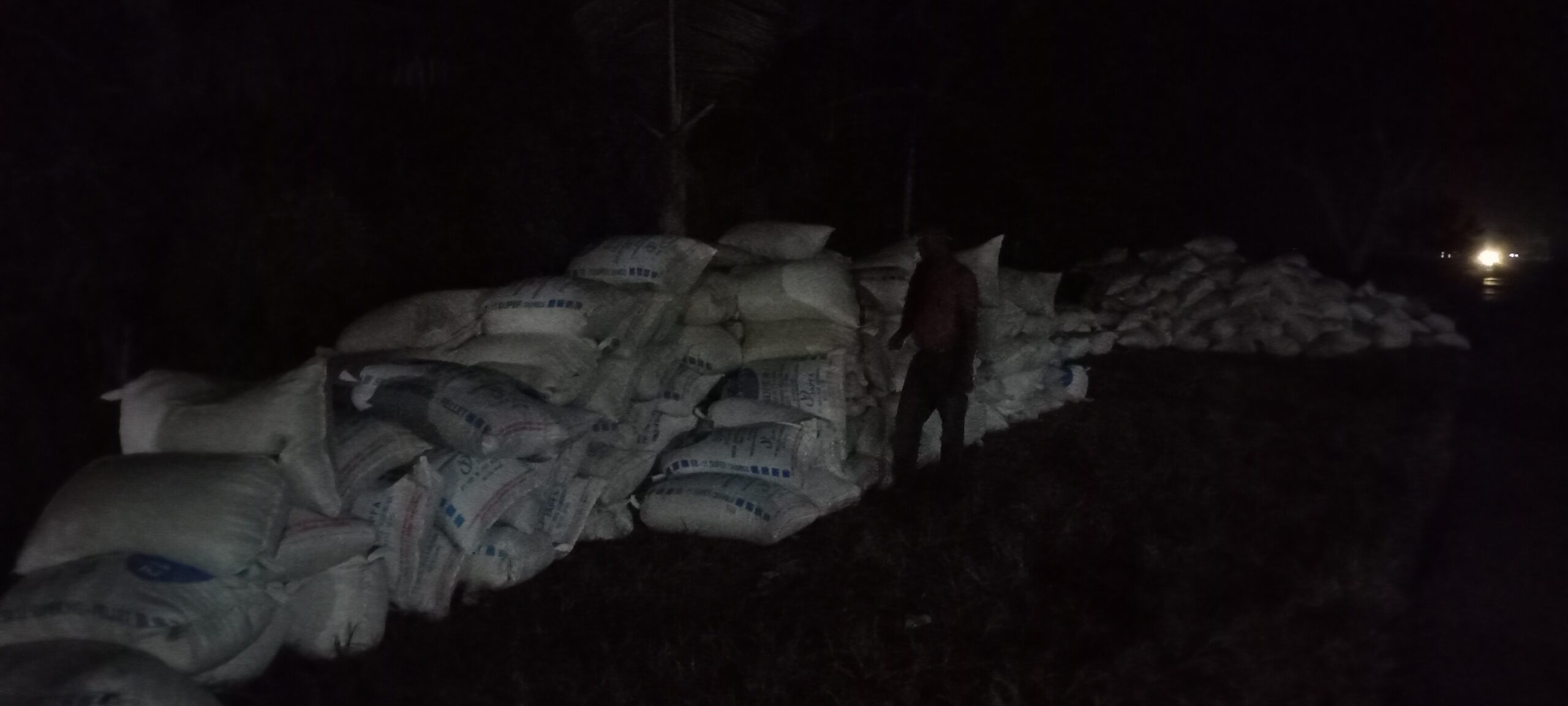 Akibat Kelangkaan Bio Solar, Pengambilan Padi di Bungaraya Terhambat, Petani Mengeluh