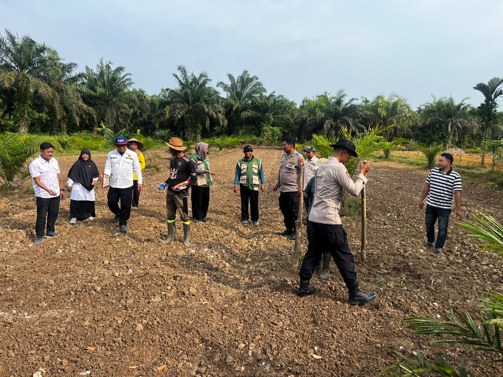 Polsek Bungaraya Dampingi Penanaman Jagung Pipil Kuartal III di Kampung Jayapura